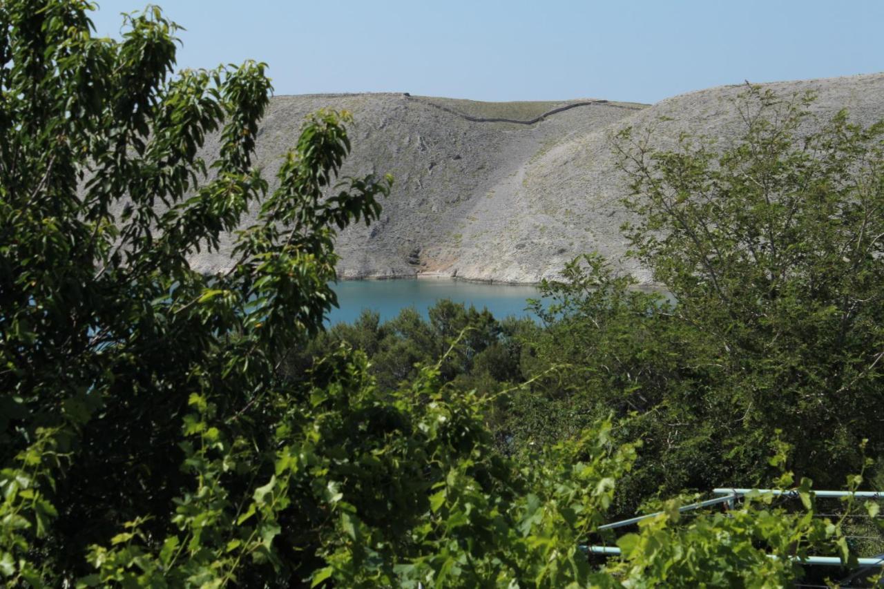 Family Friendly Seaside Apartments Vlasici, Pag - 4319 Luaran gambar
